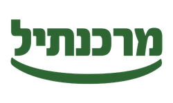 לוגו בנק מרכנתיל דיסקונט